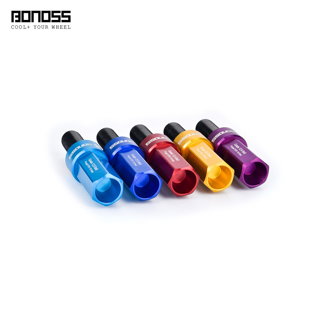 Lug Nut Style Bolts - BMW 3 Series (G20)